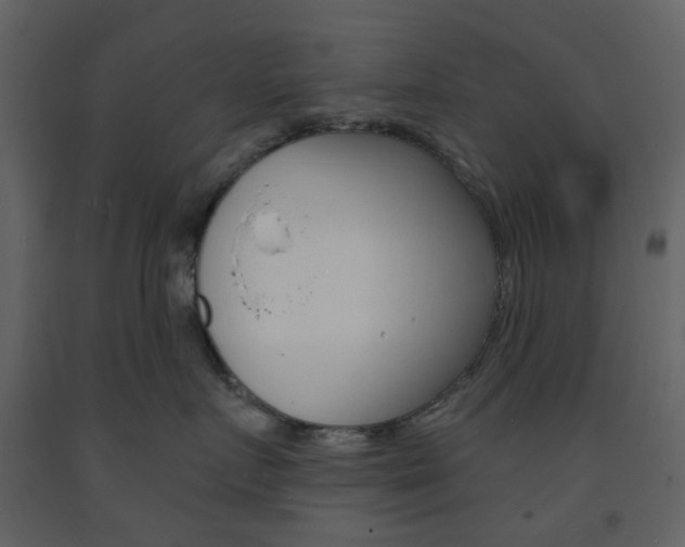 X0000094070719200710190955