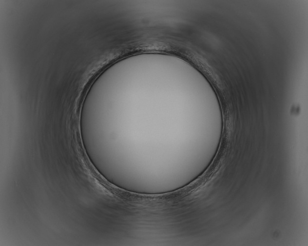 X0000094070721200710190955