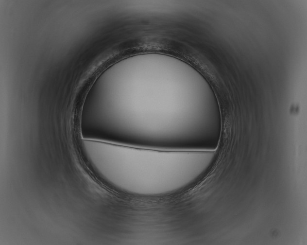 X0000094070722200710190955