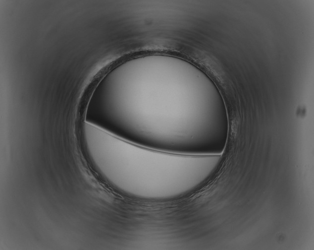 X0000094070724200710190955