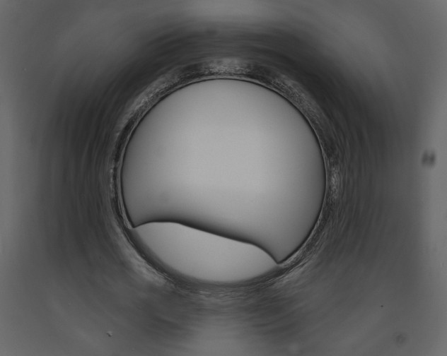X0000094070725200710190955