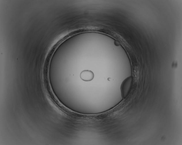 X0000094070726200710190955