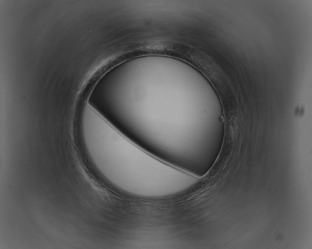 X0000094070728200710190955
