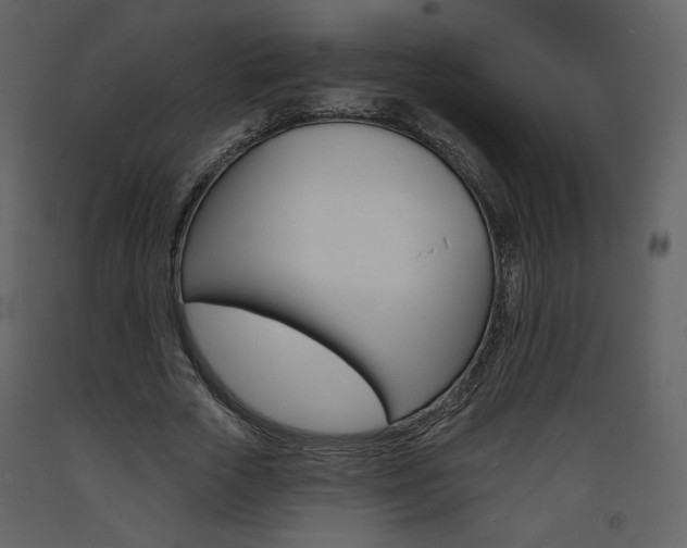 X0000094070729200710190955