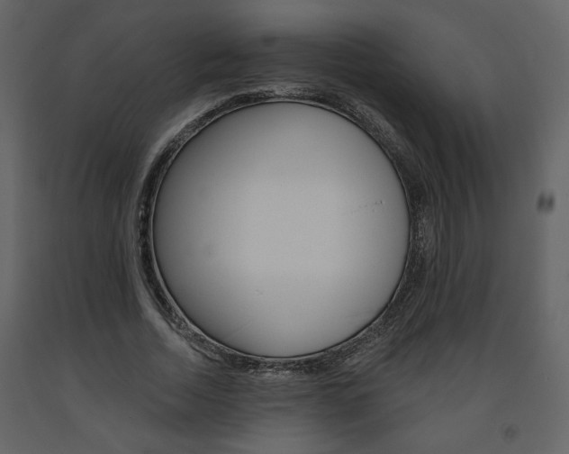 X0000094070730200710190955