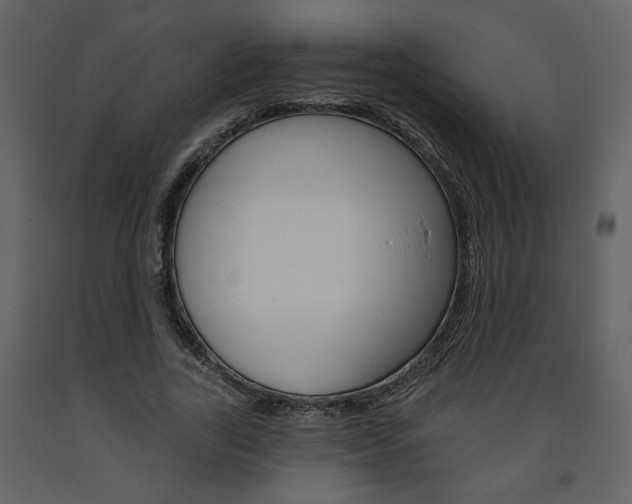 X0000094070731200710190955
