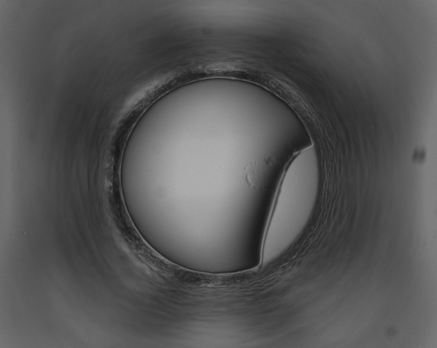 X0000094070732200710190955