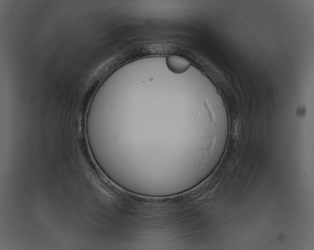 X0000094070733200710190955