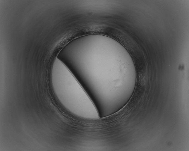 X0000094070735200710190955