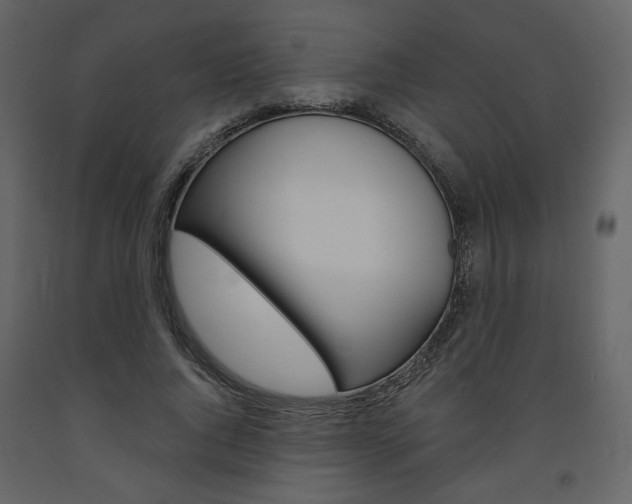 X0000094070736200710190955