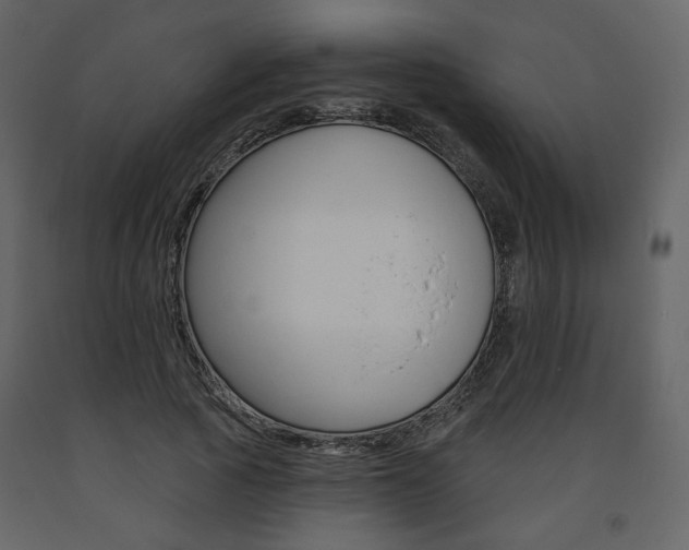 X0000094070737200710190955