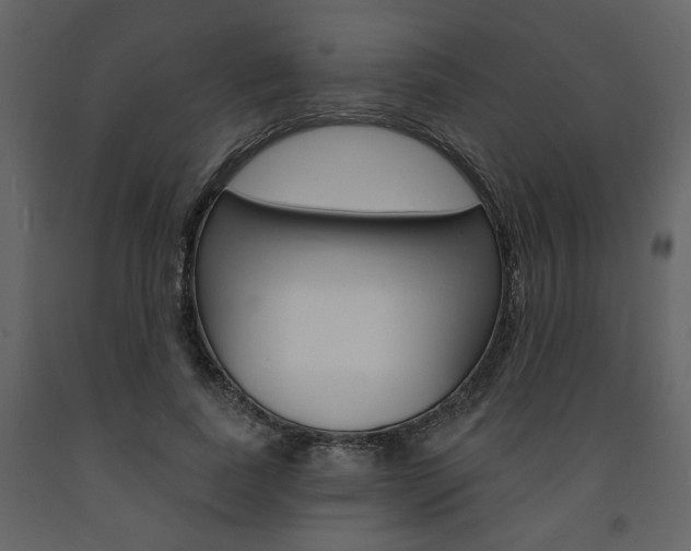 X0000094070739200710190955