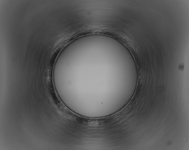 X0000094070740200710190955