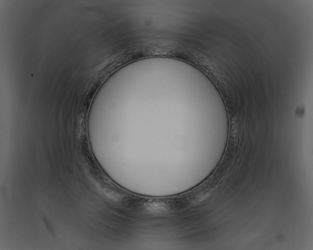 X0000094070741200710190955