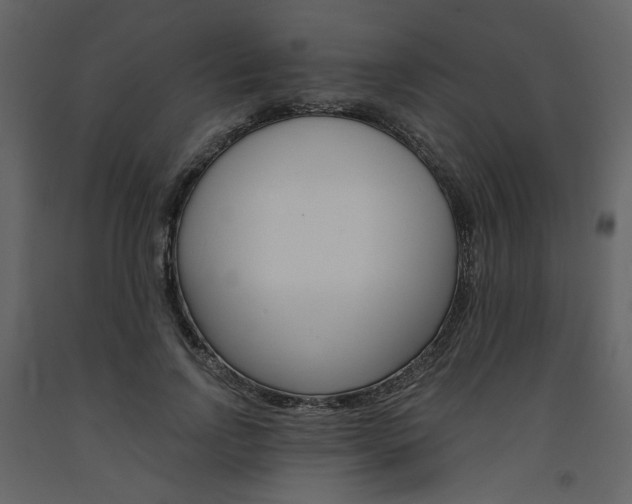 X0000094070742200710190955