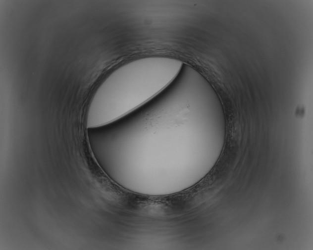 X0000094070743200710190955