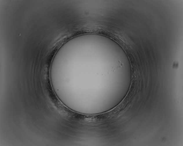 X0000094070744200710190955