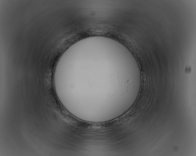 X0000094070745200710190955