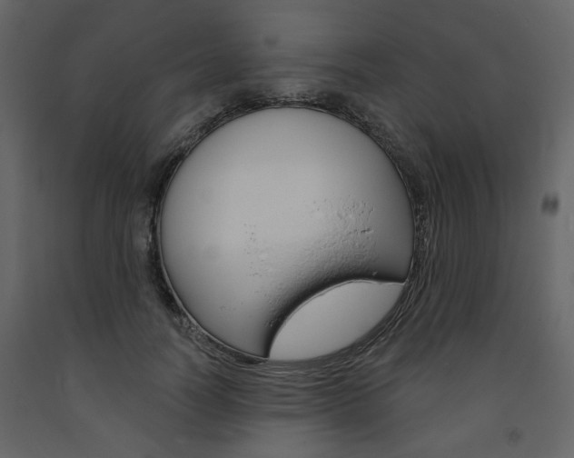 X0000094070746200710190955