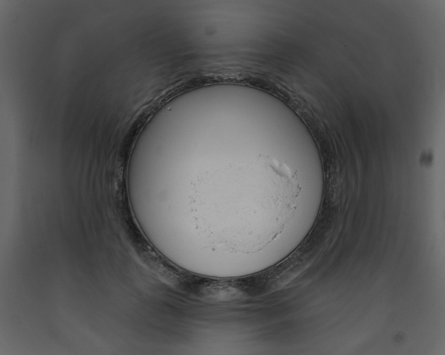 X0000094070747200710190955