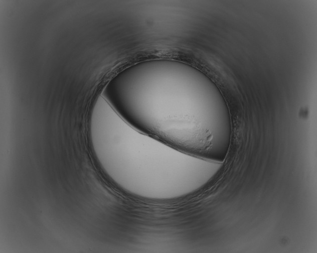 X0000094070748200710190955