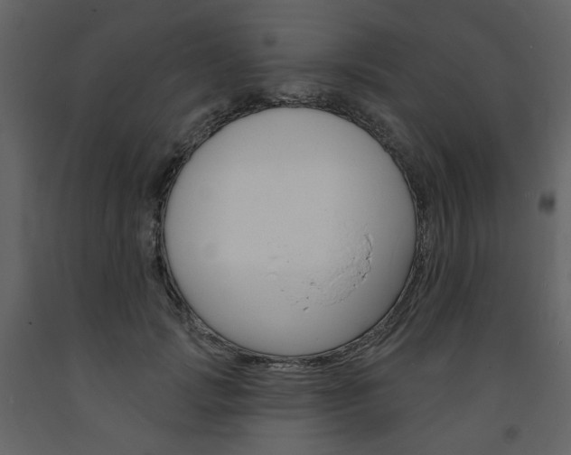 X0000094070749200710190955