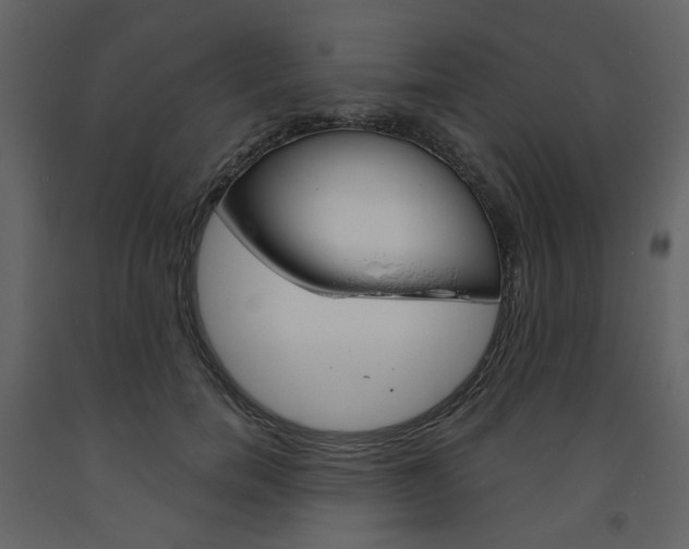 X0000094070750200710190955