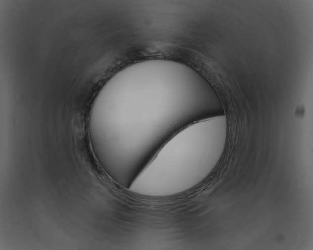 X0000094070751200710190955