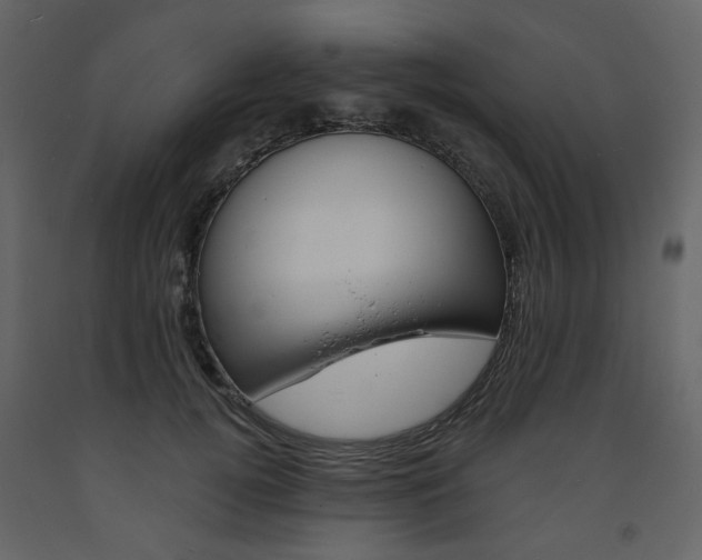 X0000094070752200710190955