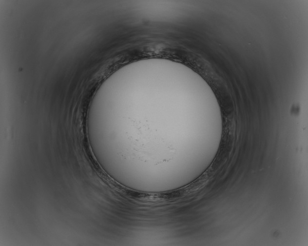 X0000094070754200710190955
