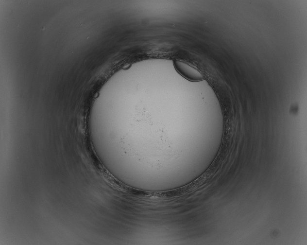 X0000094070755200710190955