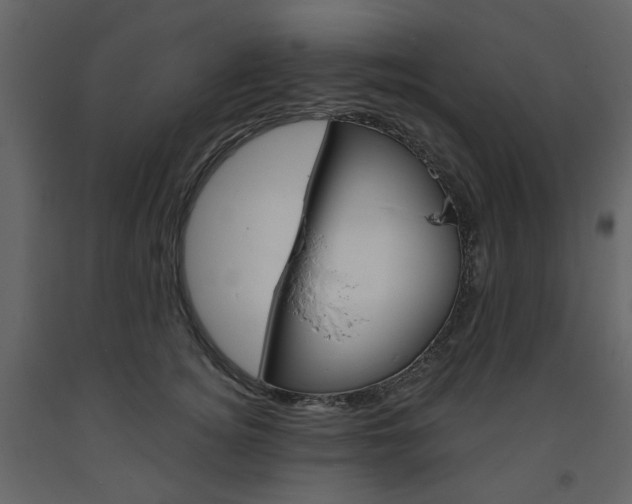 X0000094070756200710190955
