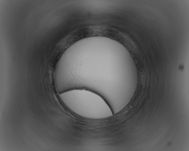 X0000094070757200710190955