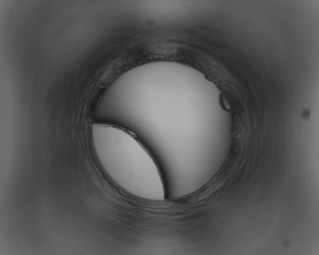 X0000094070758200710190955