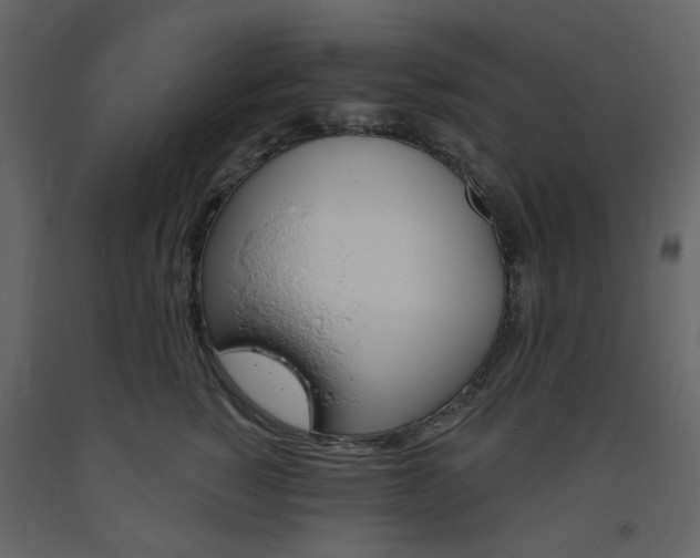 X0000094070760200710190955
