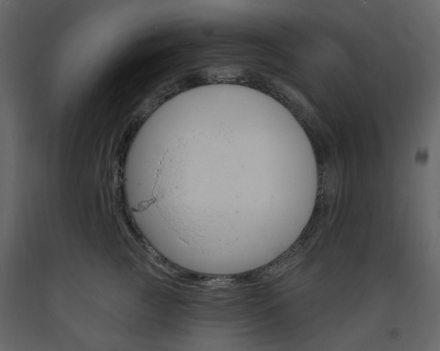 X0000094070761200710190955