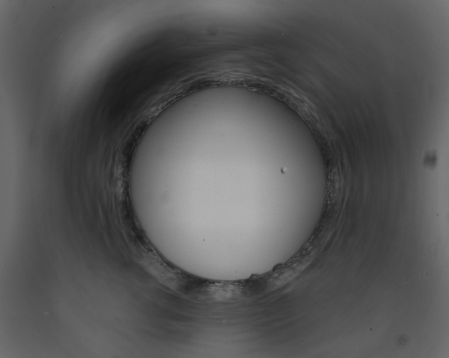 X0000094070762200710190955