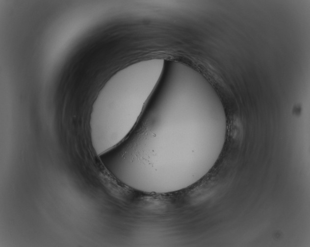 X0000094070763200710190955