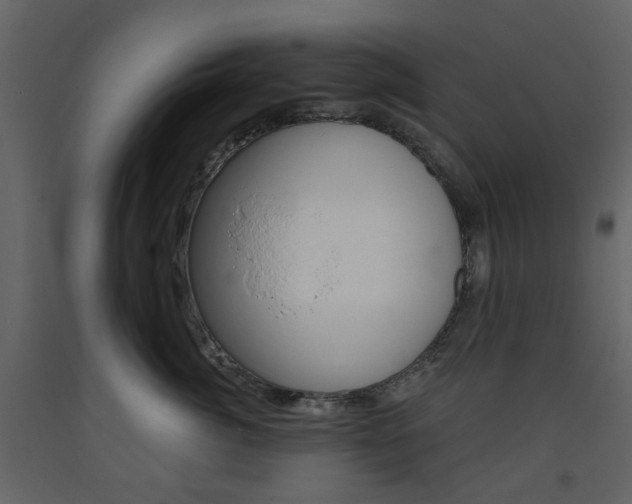 X0000094070764200710190955