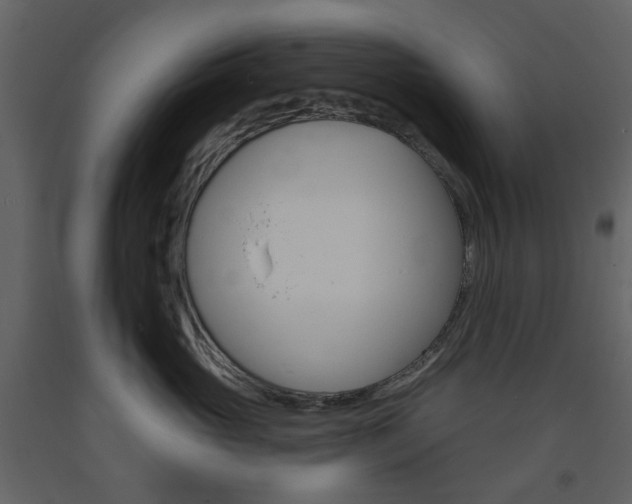 X0000094070765200710190955