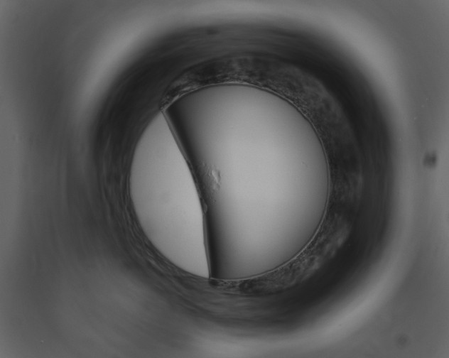 X0000094070766200710190955