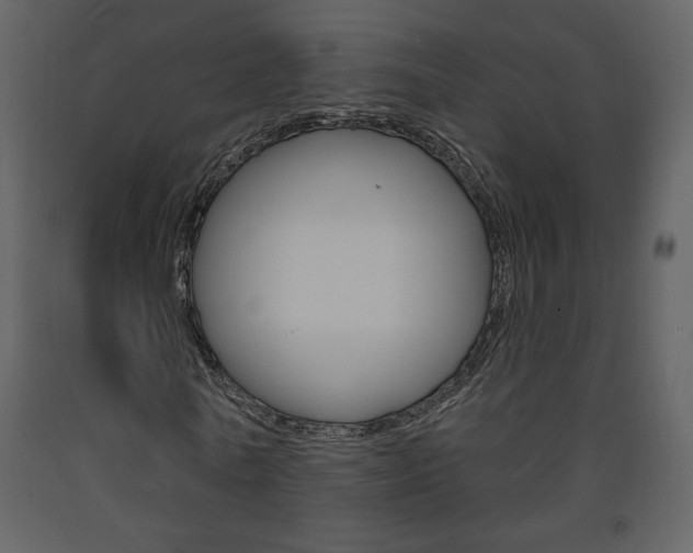 X0000094070770200710190955
