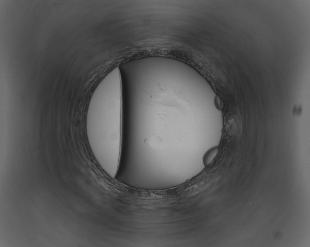 X0000094070772200710190955