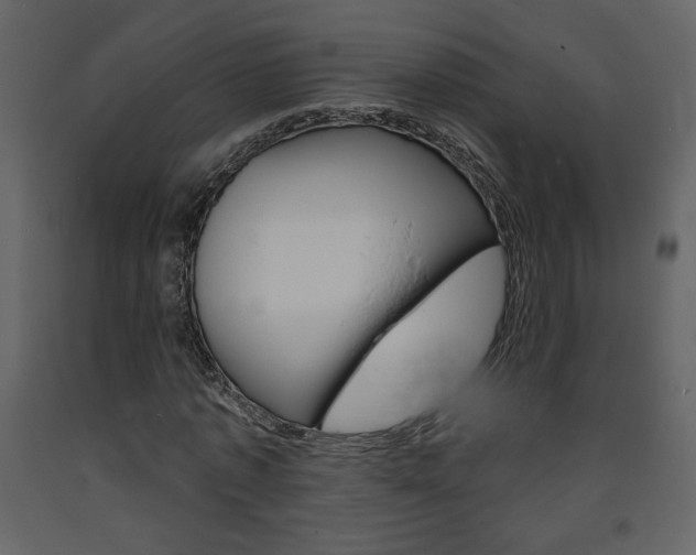 X0000094070773200710190955