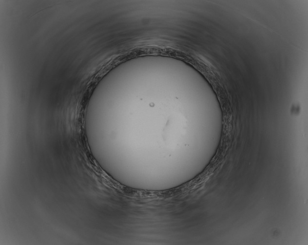 X0000094070774200710190955