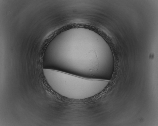 X0000094070775200710190955