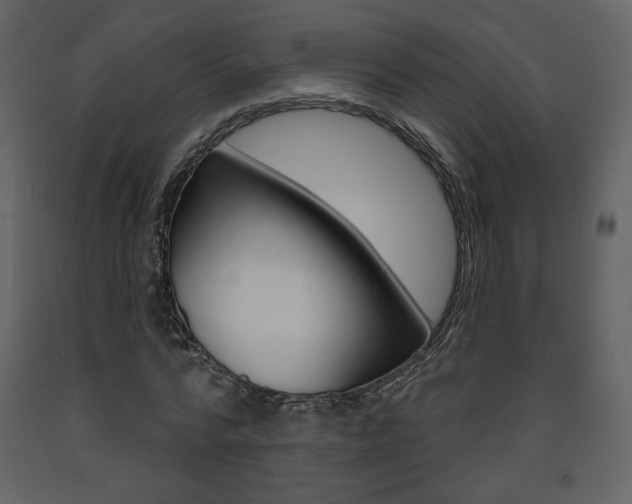 X0000094070776200710190955