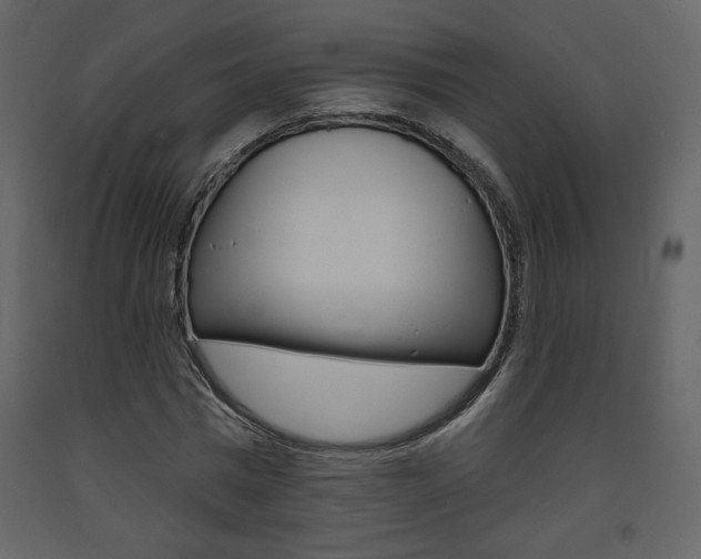 X0000094070777200710190955