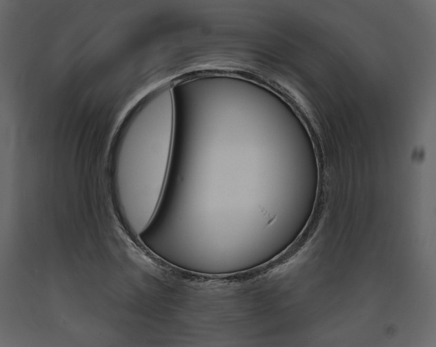X0000094070779200710190955