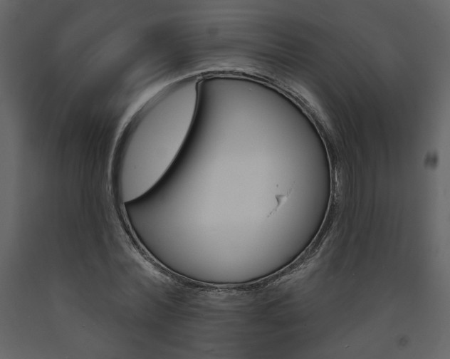 X0000094070780200710190955